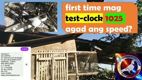 pilipinas kalapati clocking login